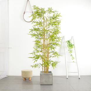客厅大型植物盆栽摆件高级仿真室内绿植假竹子高端轻奢装饰假植物