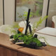 永生苔藓高档装饰花一帆风顺创意船形金属花器绿植微景观桌面摆件