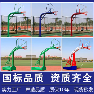 篮球架可移动成人标准学校室外单臂篮球架户外固定式可扣篮球架子