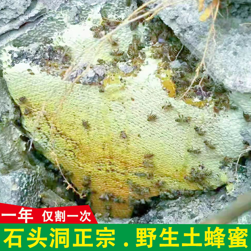 纯正天然野野花蜂蜜无添加农家原生态百花蜂巢蜜装悬崖树洞蜂蜜