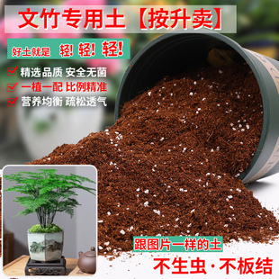 文竹专用土盆栽专用营养土通用型种植土种花土泥土疏松透气土壤肥