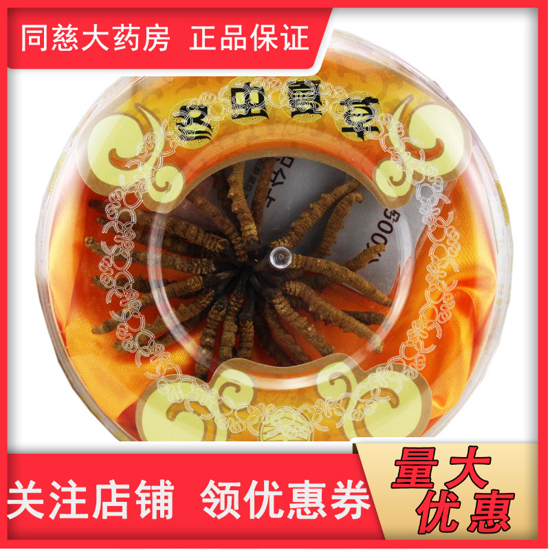 玄齡冬蟲夏草5g補腎益肺止血化痰腎虛精虧遺精腰膝酸痛久咳咯血在類目 中藥飲片, 冬蟲夏草中 - 來自Buy2taobao.com提供專業的淘寶代購服務
