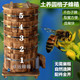 圆桶格子蜂箱土养蜂箱中蜂诱蜂桶招蜂桶杉木圆格子蜂箱全套养蜂箱