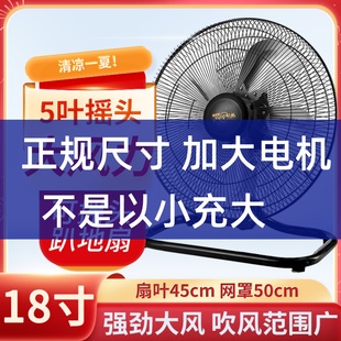 大风力摇头强力电风扇大功率电风扇落地扇趴地扇家用电扇工业风扇