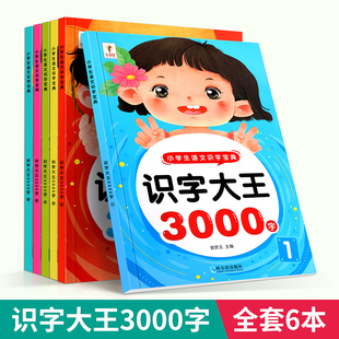 识字大王3000字全套6册 识字书幼儿认字启蒙早教书籍学前班识字卡片升学一年级儿童绘本幼小衔接教材全套幼儿园大班宝宝学汉字趣味