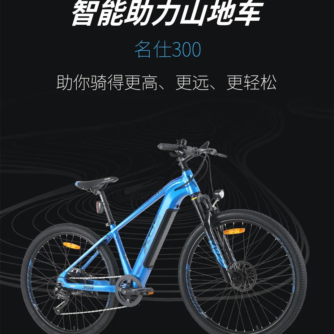 XDS喜德盛锂电池电动助力自行车后置电机油刹越野长途省力名仕300