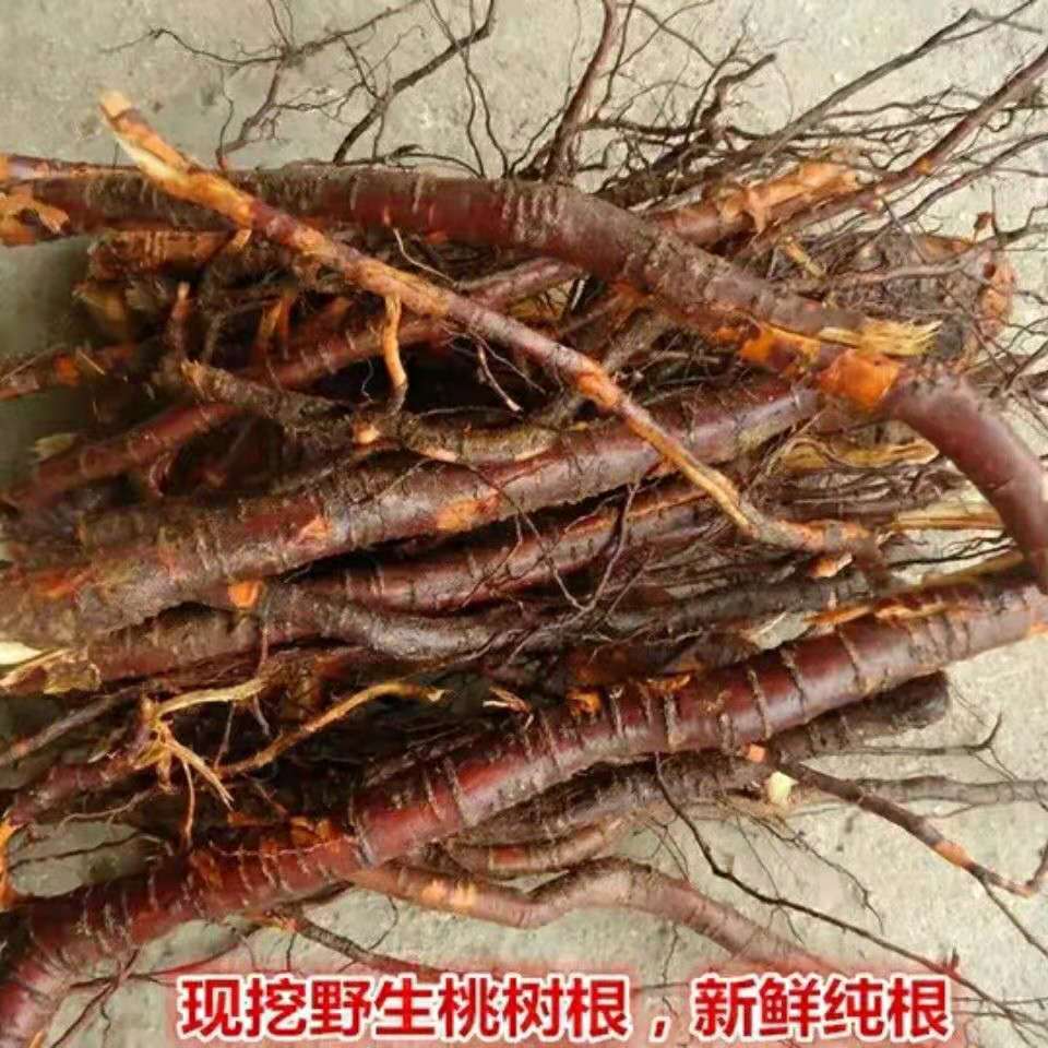 桃树根 桃树根皮 纯天然无硫无污染中药材 500克干货包邮 。