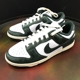 Nike Dunk Low Vintage Green白绿做旧女子低帮板鞋 DQ8580-100