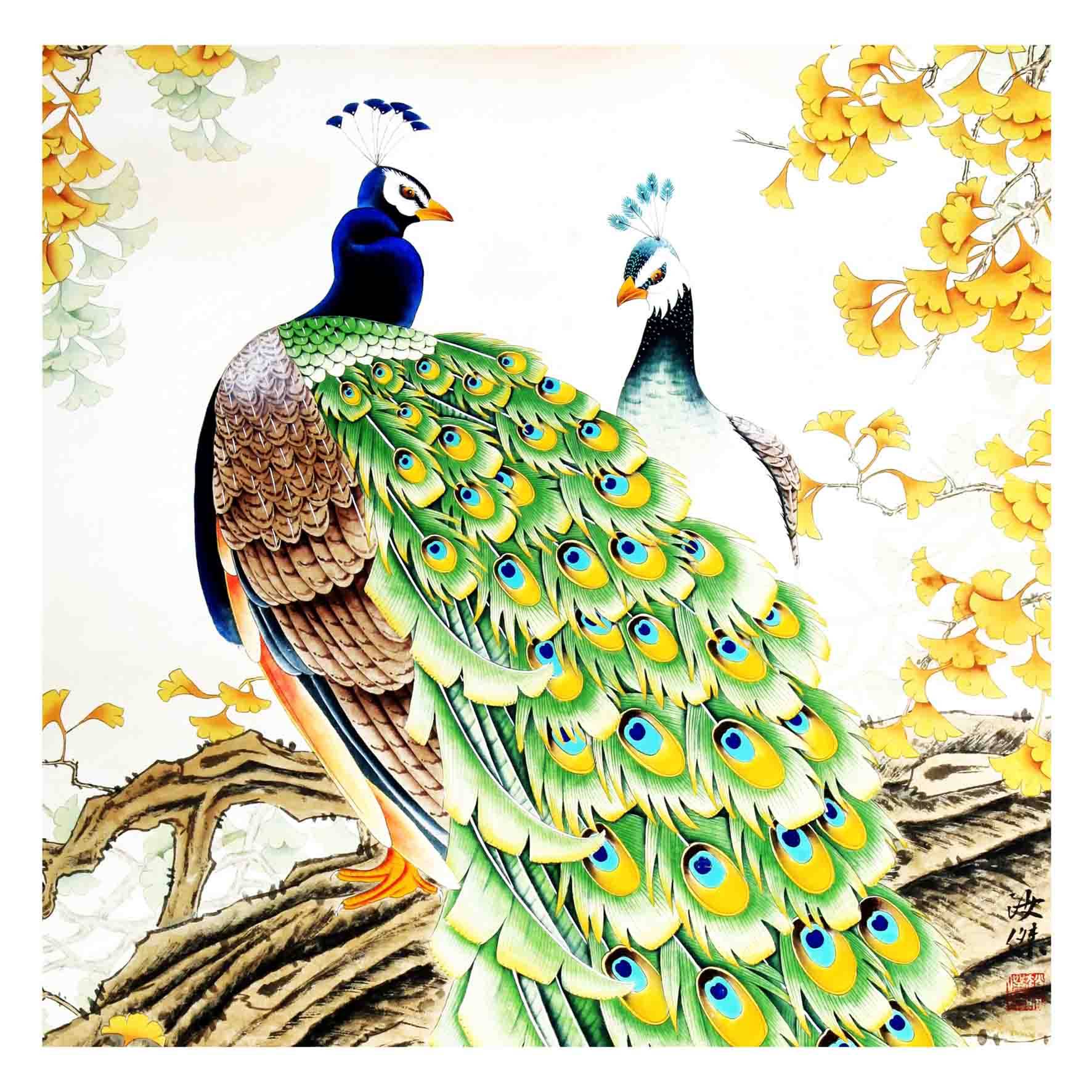 赵汝杰《金孔雀》中国美协会员,中国工笔画协会会员