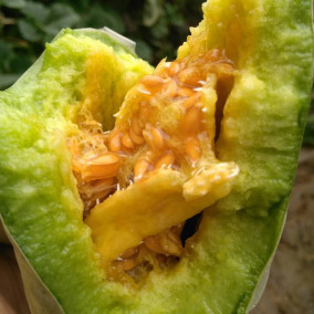 山东博洋61号羊角蜜甜瓜蜜瓜新鲜水果当季整箱5斤应季香瓜羊角脆