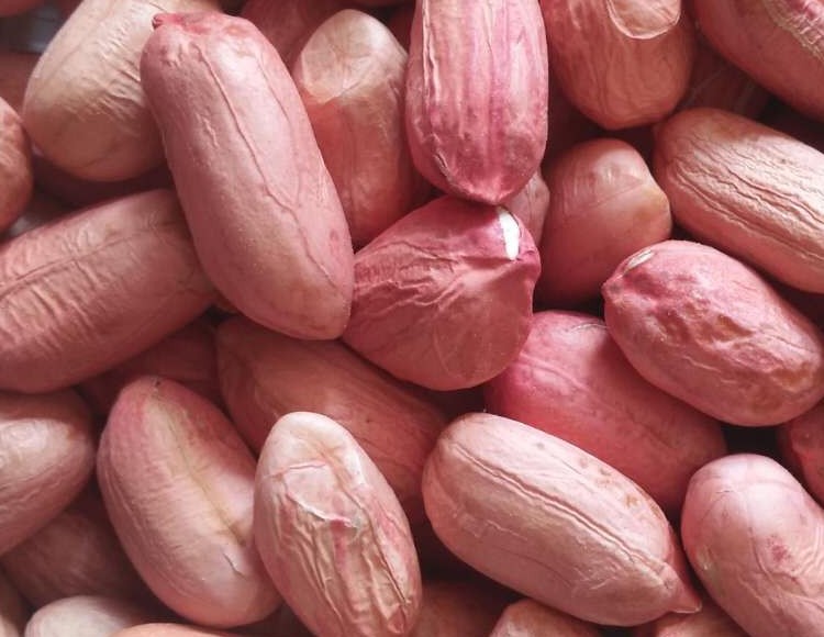 一折花生米 手剥