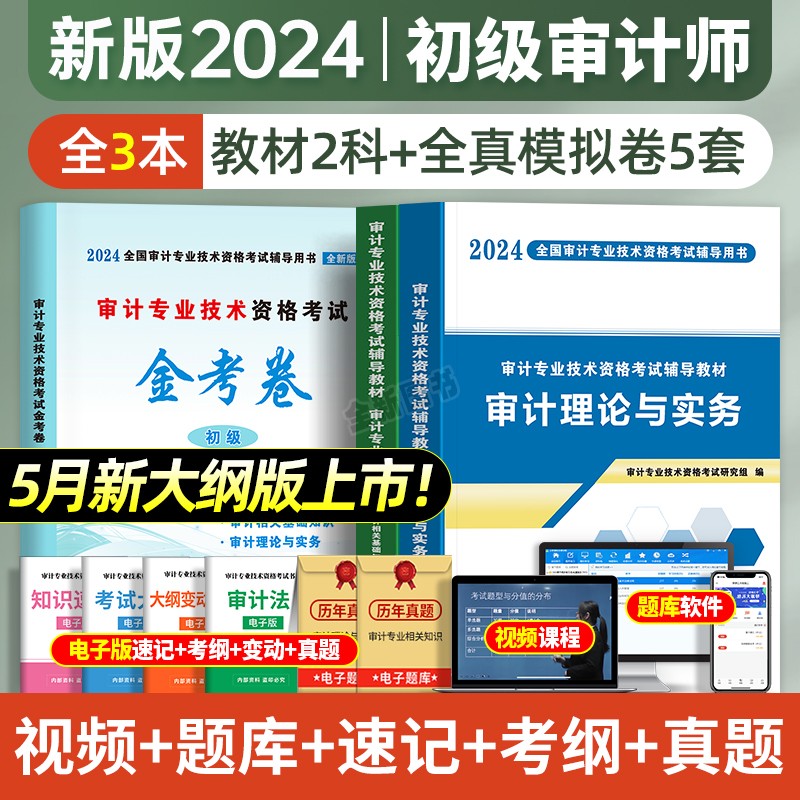 新版2024年审计师初级考试辅导用