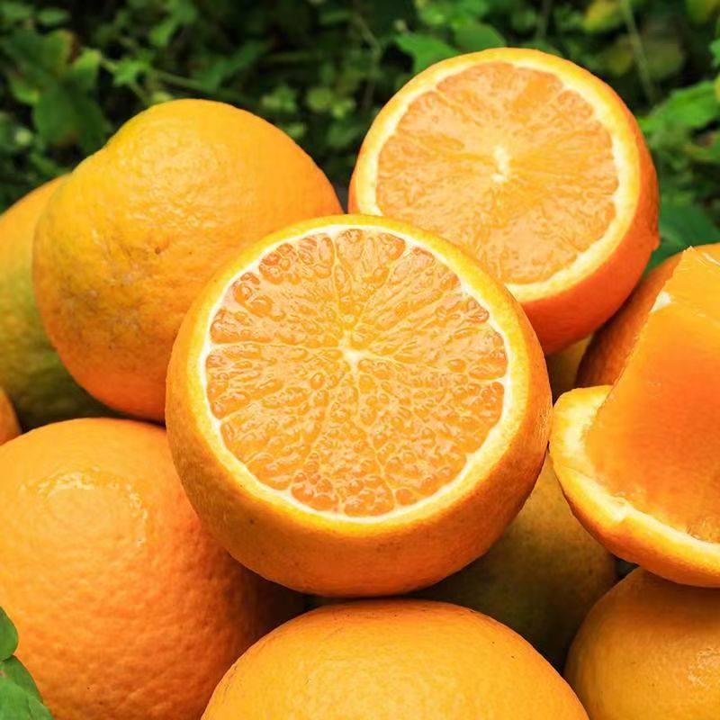 辰颐物语广西桂林夏橙现摘非伦晚奉节脐橙子当季时令新鲜水果整箱