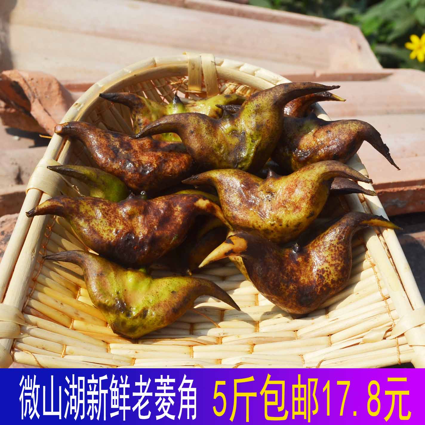 5 pounds Weishan specialty fresh Peel Water chestnut Water chestnut Water chestnut Water chestnut specialty freshin the Aquatic meat/Fresh fruits and vegetables/Cooked , Fresh vegetables/Vegetable products , Fresh vegetables , Water chestnut category - from Buy2taobao.com to provide professional Taobao agent buy service