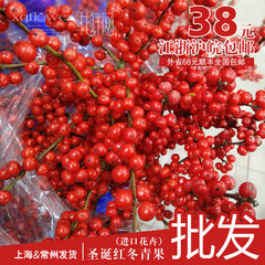 喜庆坊/花伴网 鲜花进口花材圣诞节冬青红豆进品鲜花