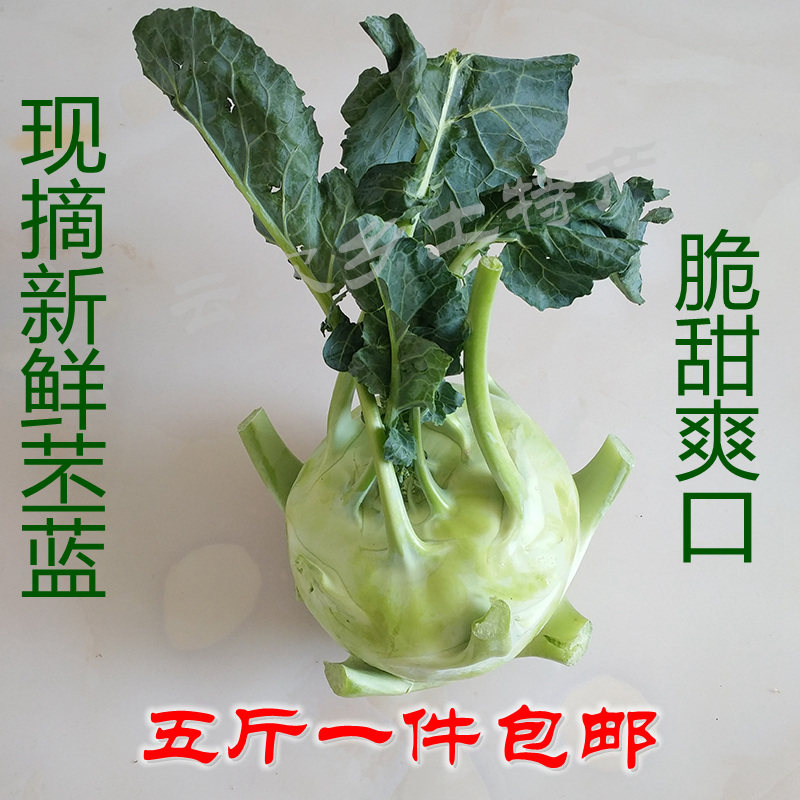 苤蓝 新鲜蔬菜大芥菜疙瘩苤蓝农家自种橄榄球大头菜茄莲球茎甘蓝