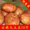 紅皮黃心大土豆新鮮包郵10斤雲南高農家自種新洋芋馬鈴薯實發9斤 紅皮黃心大土豆新鮮包郵10斤雲南高農家自種新洋芋馬鈴薯實發9斤