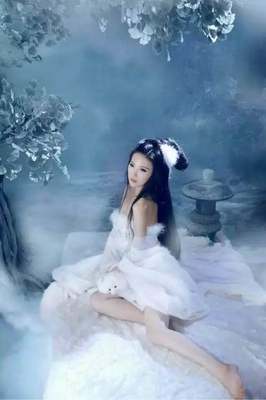 狐狸古装主播服装女性感古装女薄纱公主纱仙女狐狸装超仙汉服写真