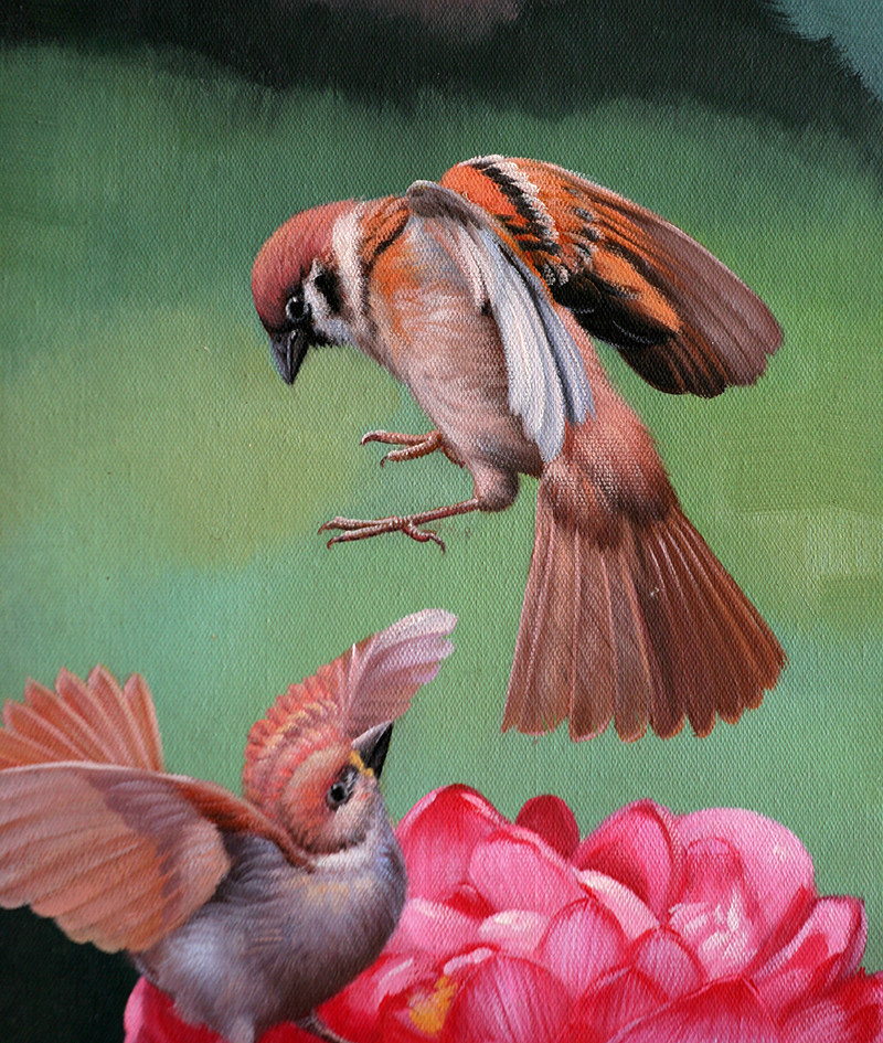 罗培芬《花鸟相映》布面油画 50x60cm