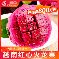 越南红心火龙果5斤 新鲜大红肉当季水果金都一号蜜宝整箱10白包邮