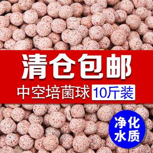 中空石英球纳米培菌球鱼缸滤材过滤材料硝化细菌屋陶瓷环远红外球