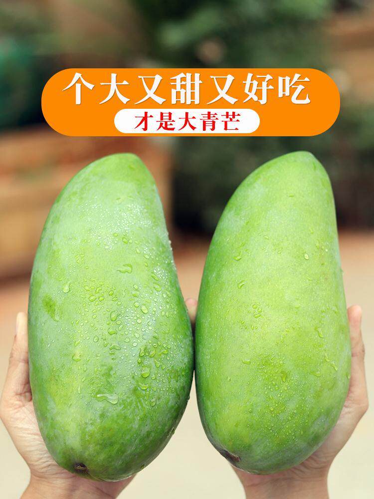 特大芒果新鲜10斤一级越南大青芒水果当季鲜果青芒果金煌大果