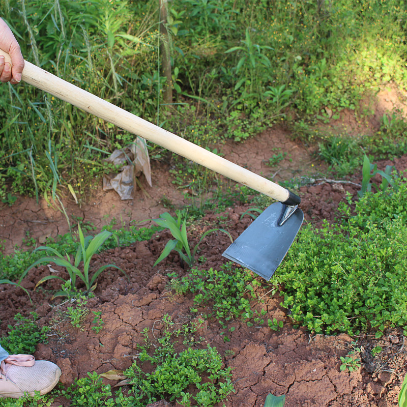 轻便农用大号挖土锄锰钢长把木柄锄头翻地松土铲草种菜园林园艺锄