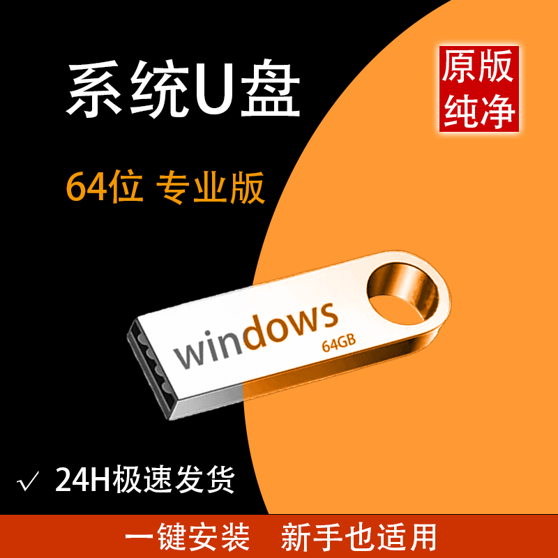 一键安装win10电脑重装系统u盘专业原版纯净7旗舰windows11pe启动