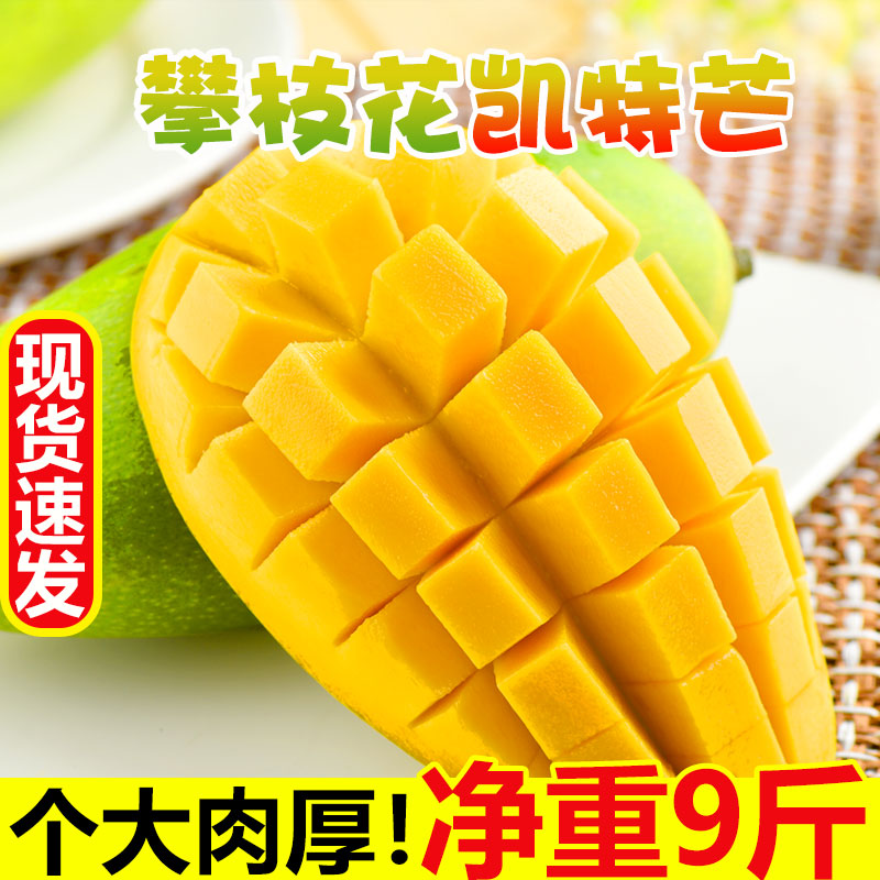 凯特芒果新鲜包邮当季水果整箱批发攀枝花特大特产在类目 水产肉类/新鲜蔬果/熟食, 新鲜水果, 芒果中 - 来自Buy2taobao.com提供专业的淘宝代购服务