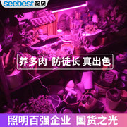 Asbedo meat fill light LED growth light plant imitation sun coloring full-spectrum household anti-cheat flower indoor