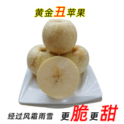 Sweet-mouthed monkey, Yantai, Shandong province, creamy Fuji apple, Qixia farmhouse, golden Fuji, fresh fruit, crispy, sweet and juicy