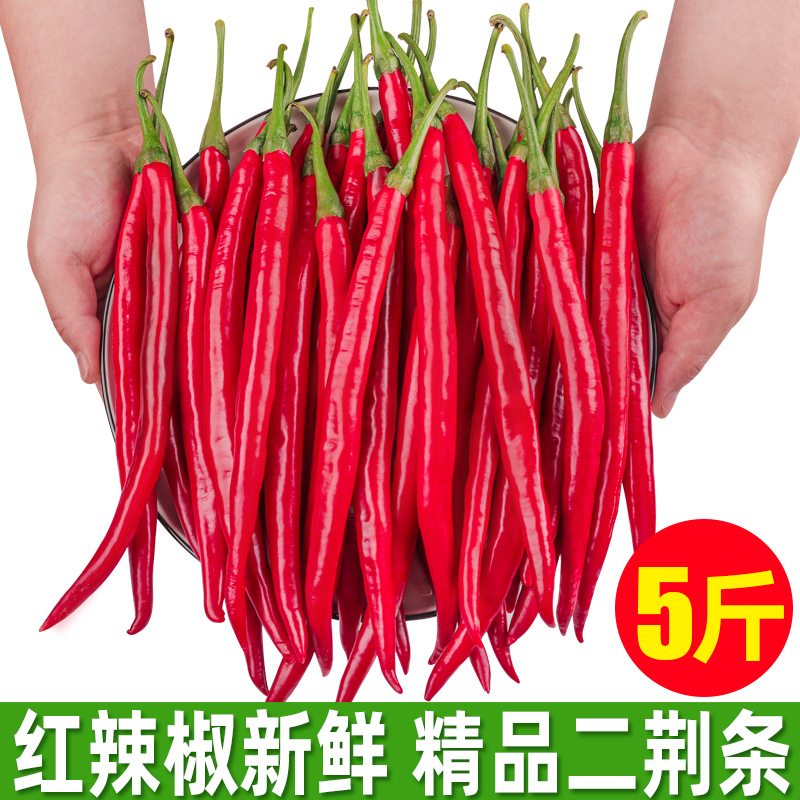 贵州红辣椒新鲜3斤二荆条现摘红线椒农家自种泡椒包邮小彩米蔬菜