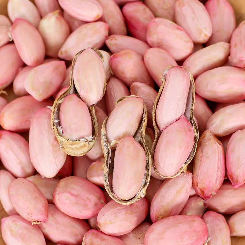 2021 Wet peanut fresh 5 pounds Farm Season Full container pink boiled vegetablesin the Aquatic meat/Fresh fruits and vegetables/Cooked , Fresh vegetables/Vegetable products , Fresh vegetables , 新鲜花生 category - from Buy2taobao.com to provide professional Taobao agent buy service
