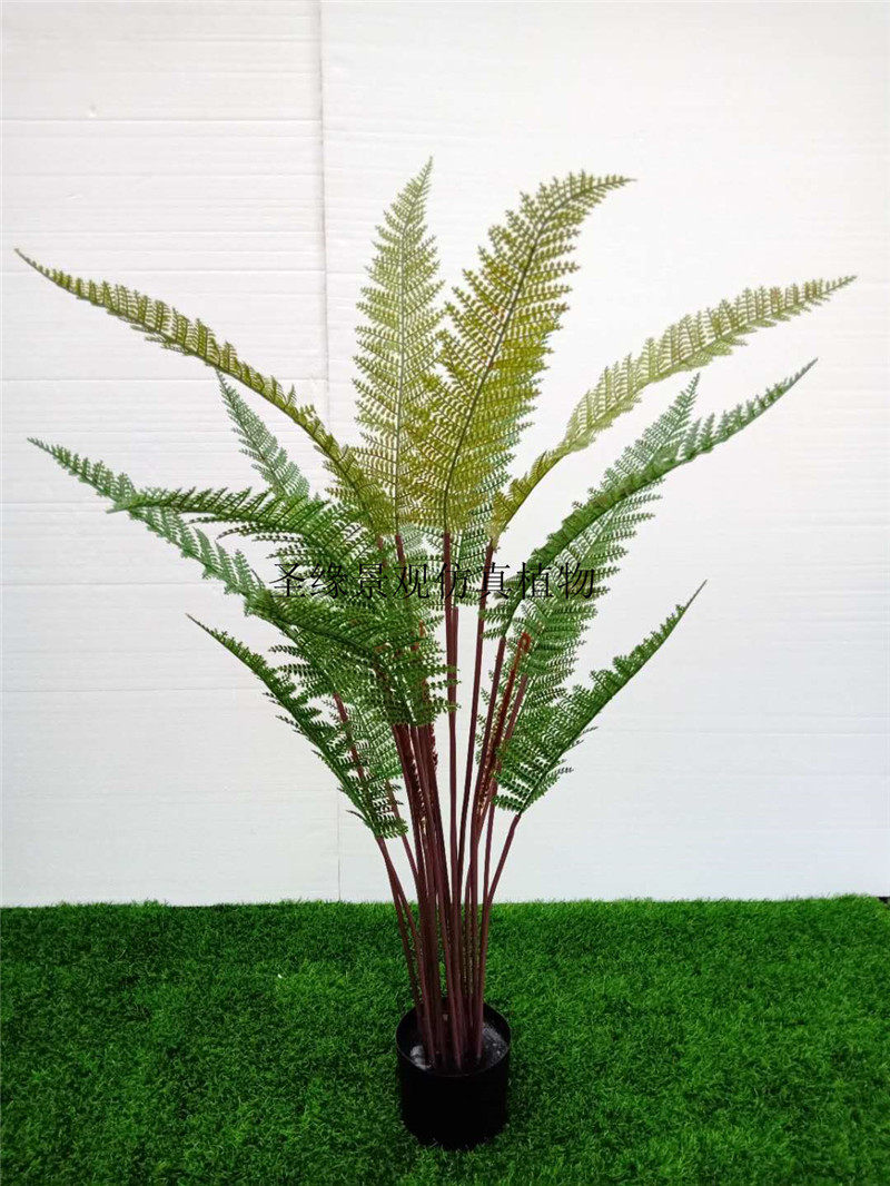 仿真盆景羽叶桫椤大型植物沙罗罗树盆栽波斯仿真绿植