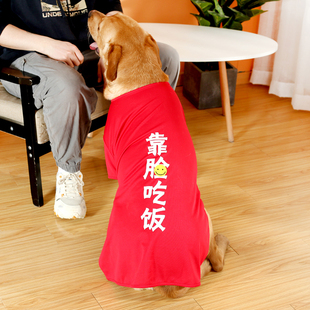 大狗背心夏季薄款金毛拉布拉多萨摩耶哈士奇柴犬狗狗衣服中大型犬