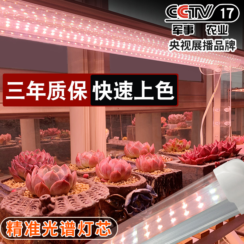 多肉补光灯 家用上色全光谱仿太阳led蔬菜花卉室内专用植物生长灯|ruв категории награду материалов, огни освещения, функциональный светильник, вегетативная лампа - от Buy2taobao.com для оказания профессиональной услуги покупки агента Taobao