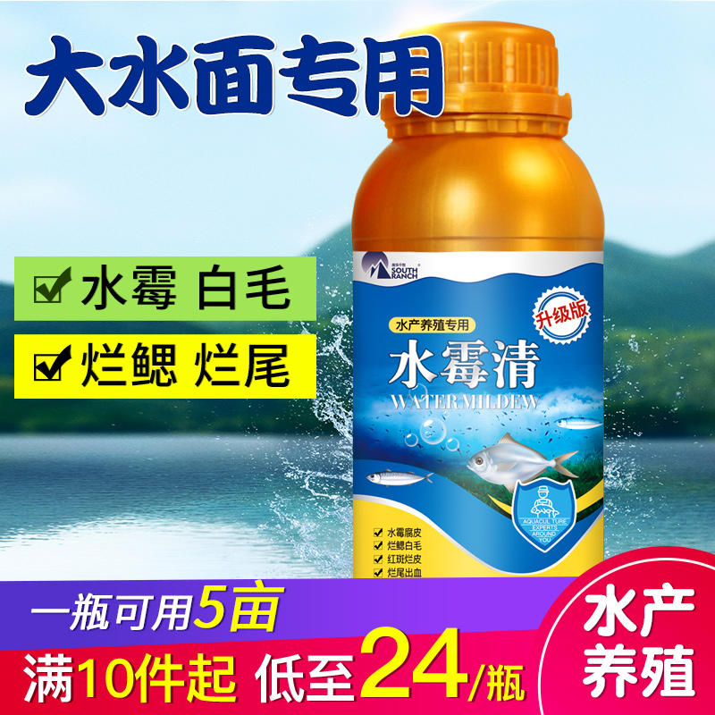 水霉病水霉清硫醚沙星白毛病腐皮烂鳃烂尾水产鱼药水霉净水产养殖