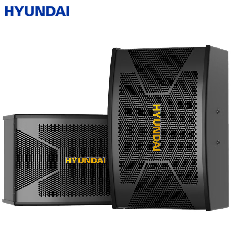 HYUNDAI现代 W-10A 10英寸喇叭专业三分频音响一体机卡拉OK音箱