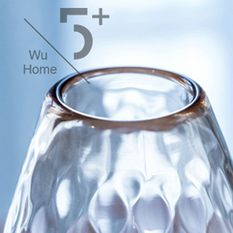 【WU HOME 5+】手工玻璃水粉透明花瓶摆件插花家居卖场书房客厅