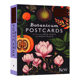 植物博物馆明信片 英文原版 BOTANICUM Postcards 插画爱好者手绘时尚50张明信片 Katie Scott 凯蒂斯科特 欢迎来到博物馆系列