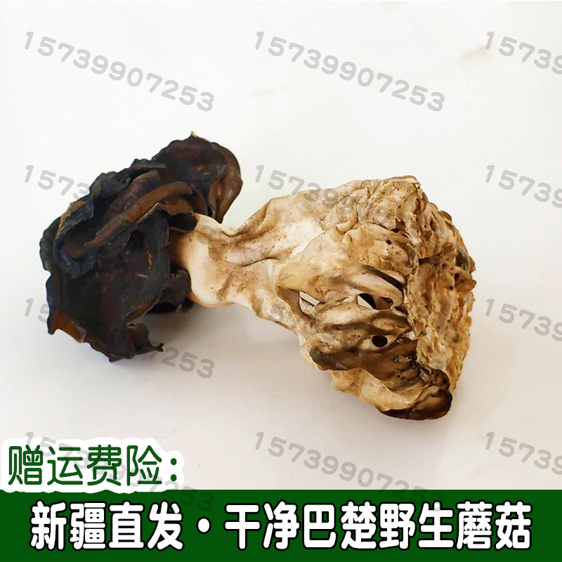 干净风味人间新疆野生巴楚蘑菇干食用菌香菇皱柄羊肚菌100g胡杨菇