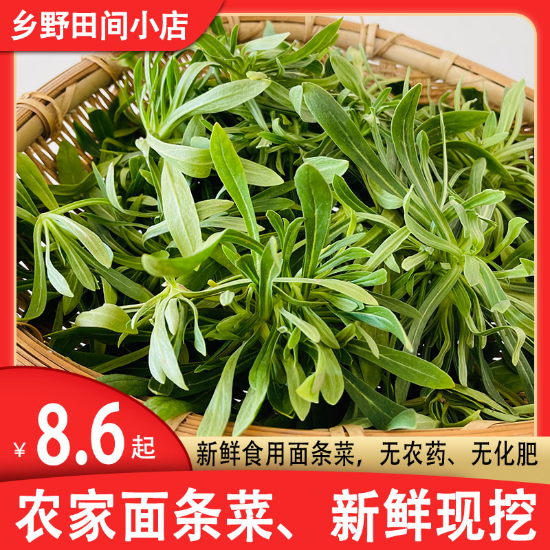 面条菜新鲜羊蹄栝山东农家野菜现摘现