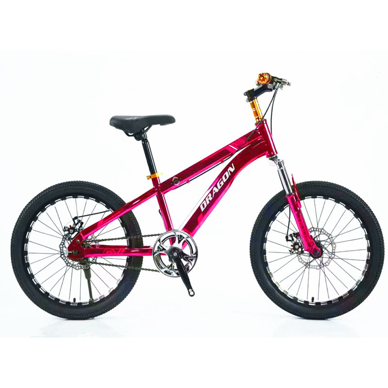 淘宝￥899折后价￥470宝贝龙/dragon单速18-20-22寸碟刹山地自行车7