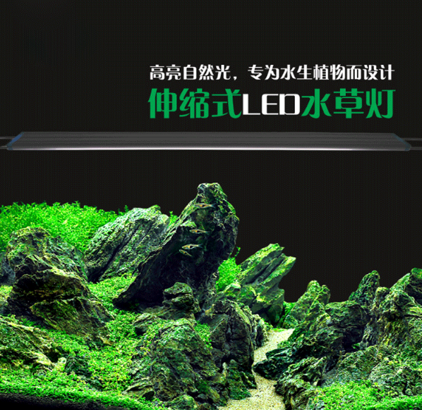 LED鱼缸灯架草缸灯水族箱led灯架鱼缸照明灯支架节能灯鱼缸水草灯在类目 宠物/宠物食品及用品, 水族世界, 鱼缸等水族设备, 照明器材中 - 来自Buy2taobao.com提供专业的淘宝代购服务