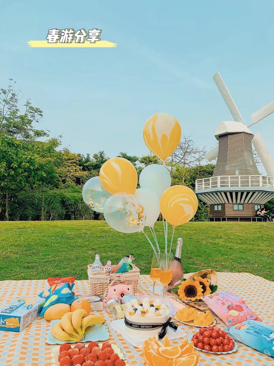 野餐气球生日装饰拍照道具网红ins宝宝儿童周岁户外派对场景布置