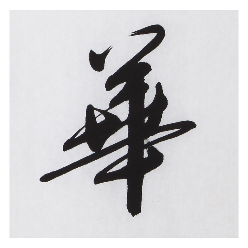 文永安《华堂集瑞》著名职业书法家