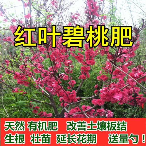 红叶碧桃苗用肥料花肥料复合肥有机肥营养土盆栽植物颗粒缓释肥