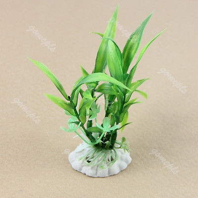 F85 Aquarium Embellished Decor Green Plastic Grass Fish Tan|msdalam kategori haiwan peliharaan/makanan haiwan dan bekalan, haiwan kesayangan yang lain, Peralatan haiwan peliharaan yang lain - dari Buy2taobao.com untuk memberikan perkhidmatan ejen Taobao profesional membeli