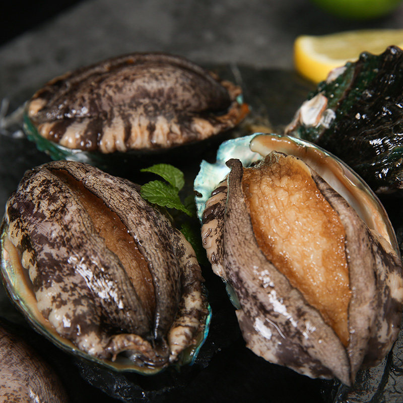 鲜活野生鲍鱼35g一头新鲜大个头特大水产贝壳类海鲜到家