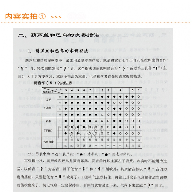 正版从零开始学葫芦丝巴乌基础教程教材入门书籍乐谱书葫芦丝巴乌